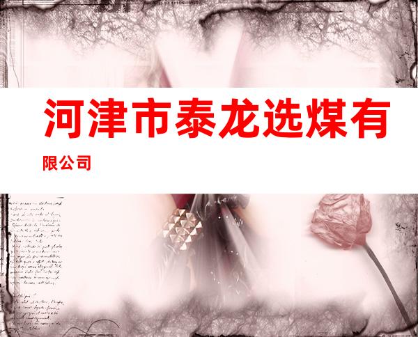 河津市泰龙选煤有限公司